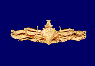 [Gold Surface Warfare Excellence Pennant]